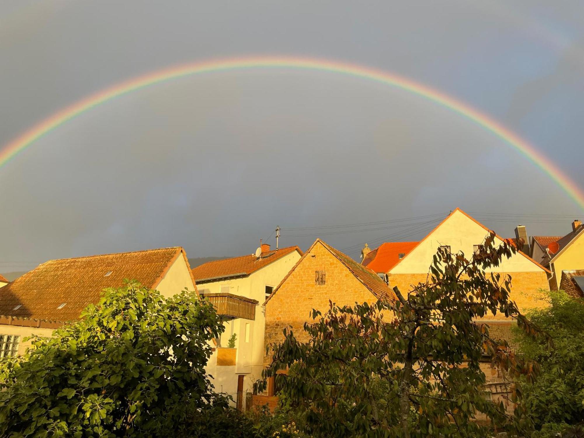Pfalz-Dorfhaus Burrweiler Esterno foto