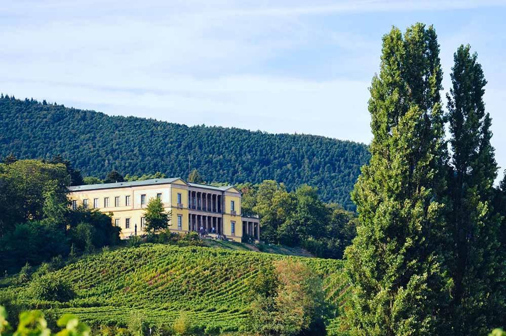 Pfalz-Dorfhaus Burrweiler Esterno foto